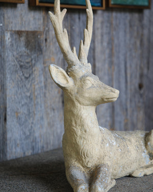 Concrete Stag, Small