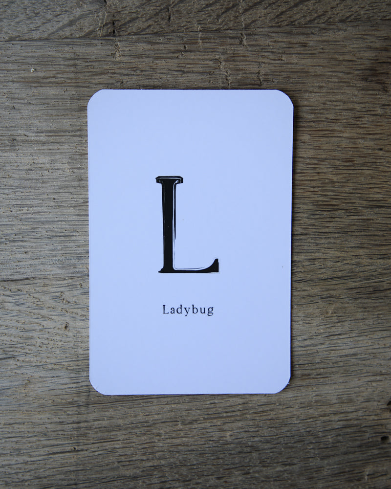 Garden Alphabet Flash Cards
