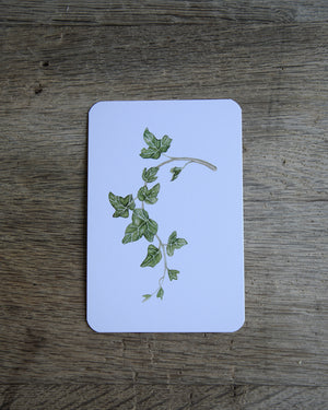 Garden Alphabet Flash Cards
