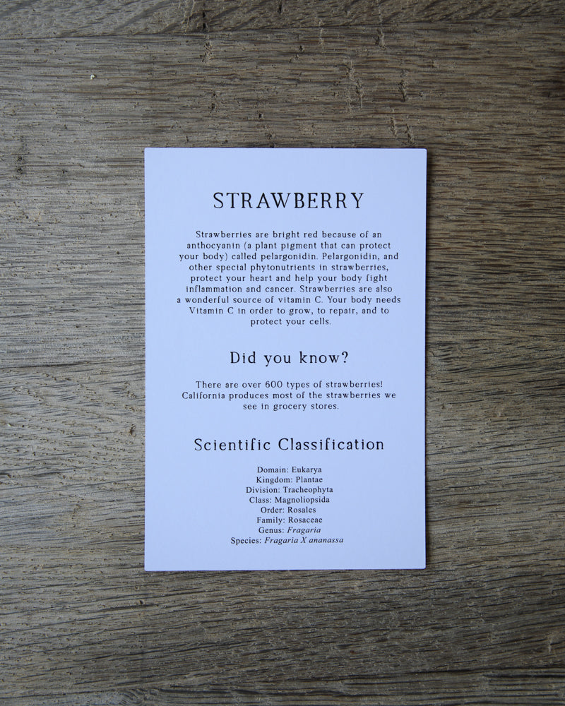 40 Seasonal Produce Learning Cards