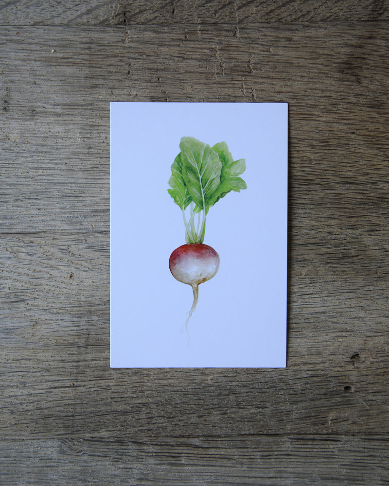 40 Seasonal Produce Learning Cards