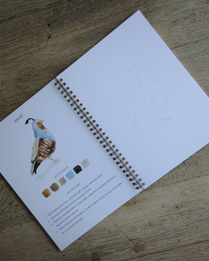 Birds Watercolor Workbook
