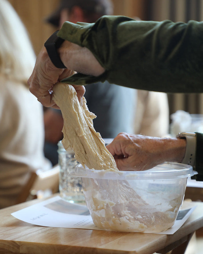 Introduction to Sourdough Breadmaking with Sourdough Mama