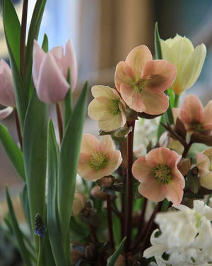 From Bulb to Bloom: Creating a Living Spring Arrangement With The Farmer's Florist