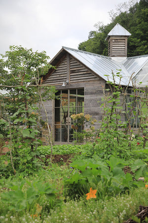 Soil Deep Dive & Garden Planning Workshops with Leila Giannetti